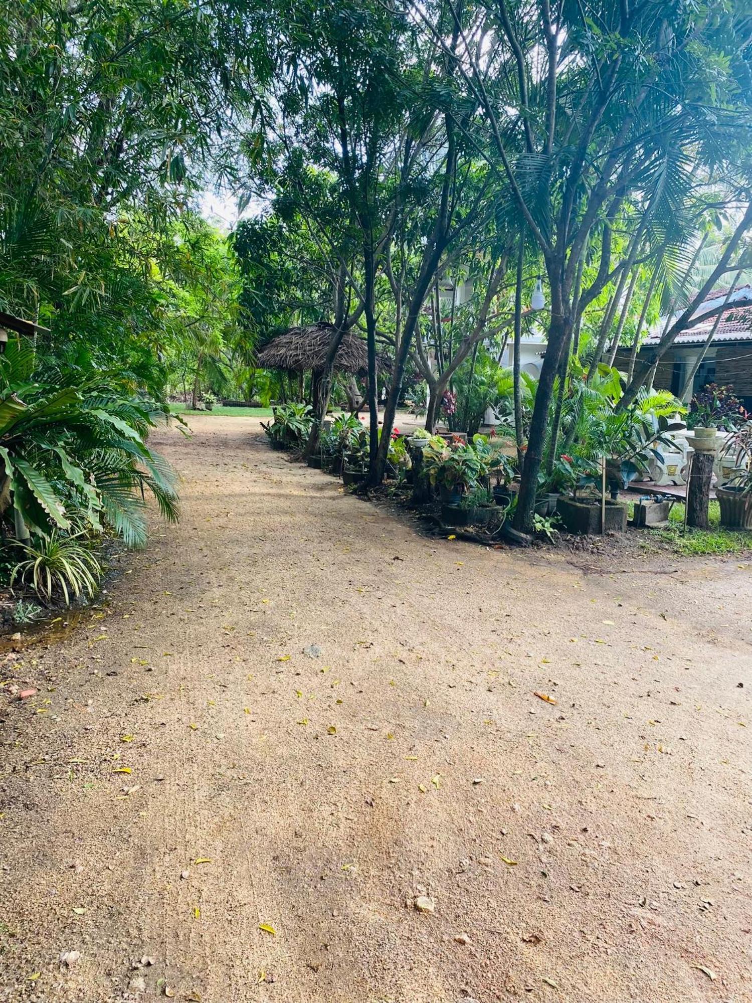 The Green Garden 丹不拉 外观 照片